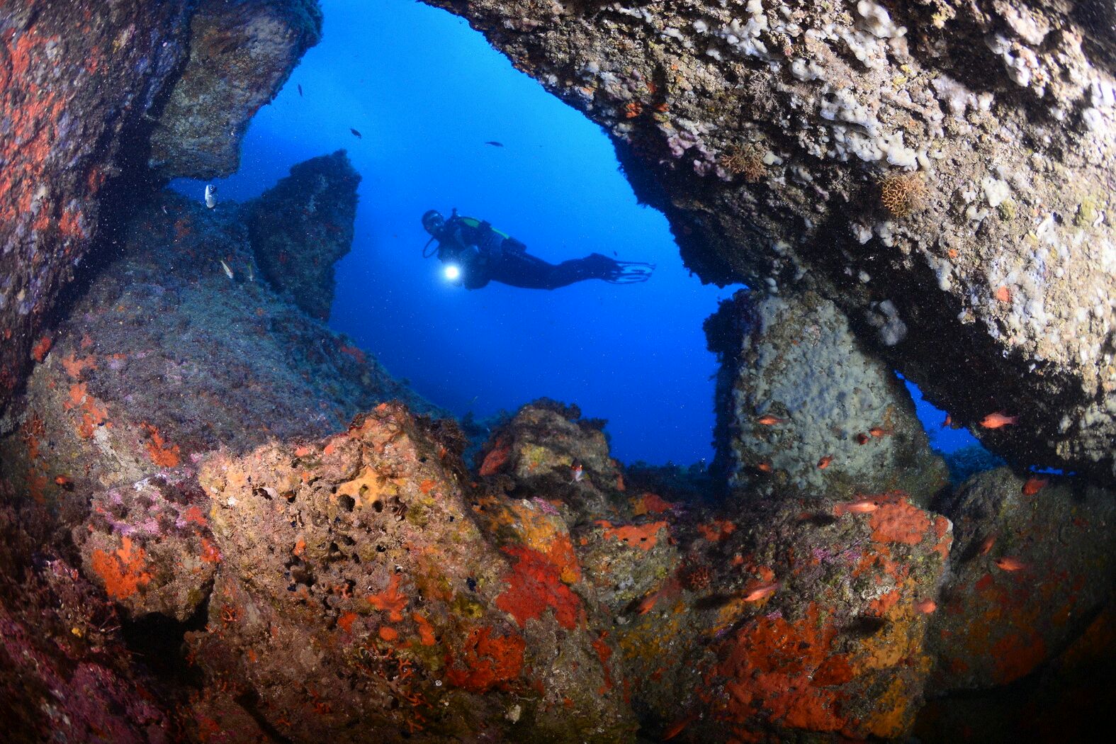 XXVI Campeonato de España de Fotografía Submarina NAFOSUB – 2014